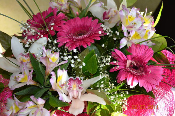 Ооо Изолремсервис