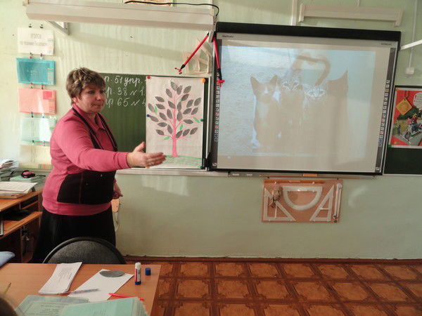 Светлана Чалых