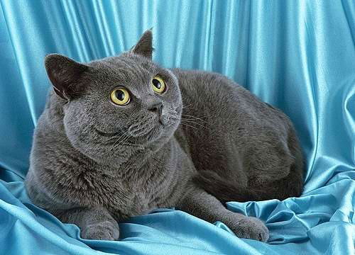 Юля Топоркова