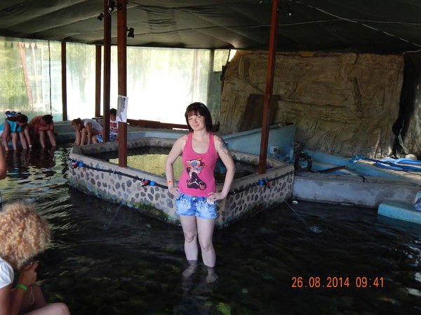 Елена Чаунина