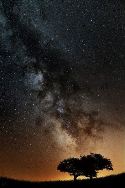 Катерина Макась