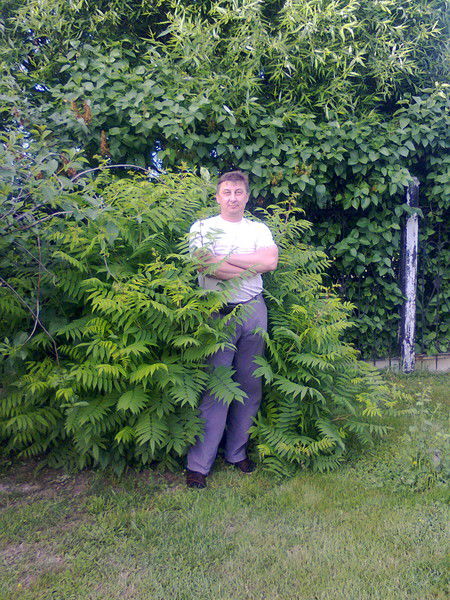 Алексей Борискин