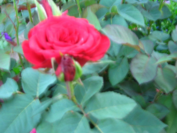 Людмила Хохрякова