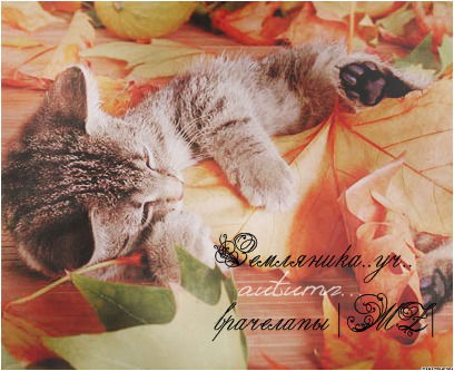 Земляничка |Mz|