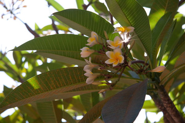 Лейла Агадуллина