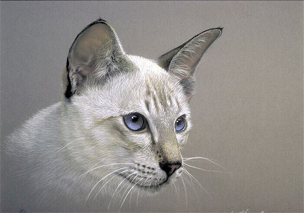 Светлана Бибанаева