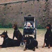 Динара Яхина