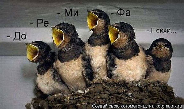 Любовь Макарова