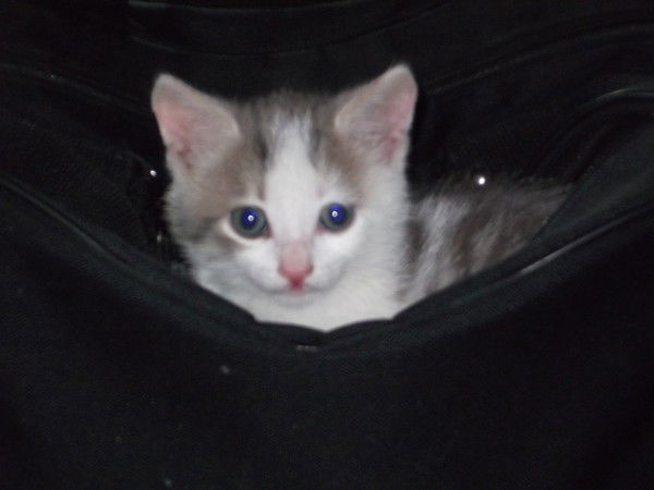 Наталья Тихонова