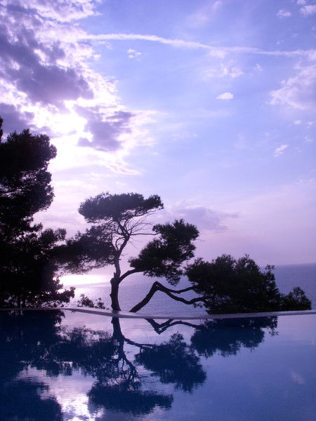 Стефания Мацевска