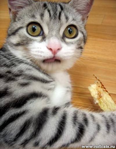 Серж1695 Хаха