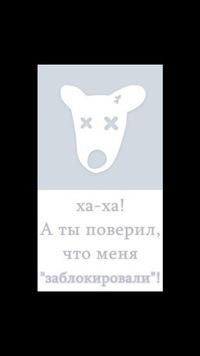 Арсен Сагитов