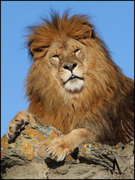 Маулен Корганбаев