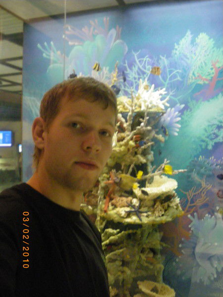 Юрий Зарецкий