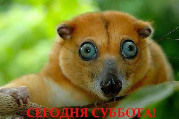 Николай Панфилов