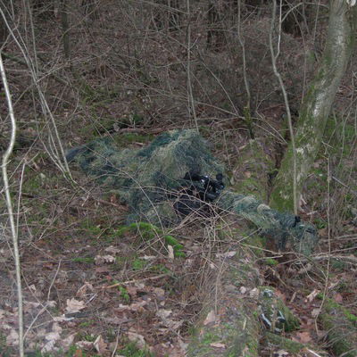 Андрей Васечкин