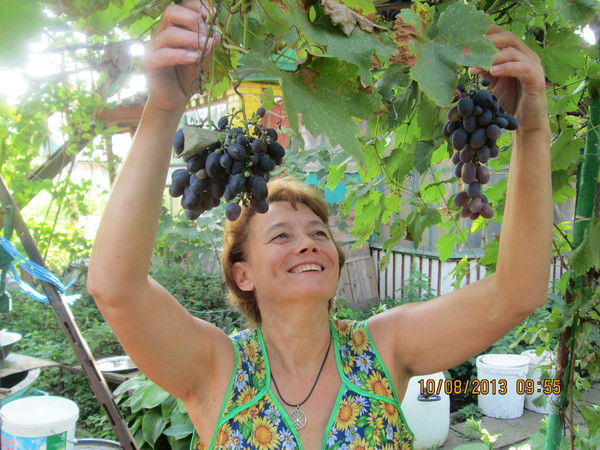 Нина Пашкина