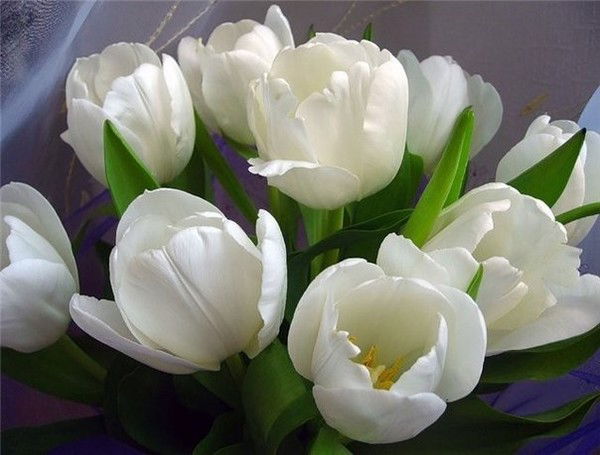 Наталья Балагутрак