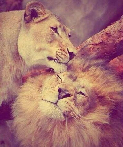 Милана Кайцукова