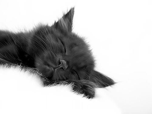 Олеся Ефимова