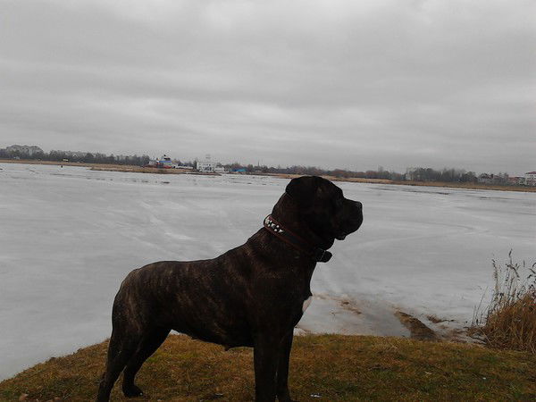 Вита Дорофейчик