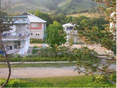 Елена Ярошина