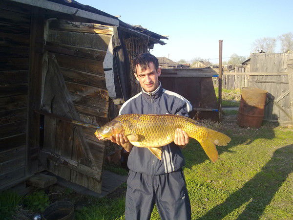 Рамиль Бабаев