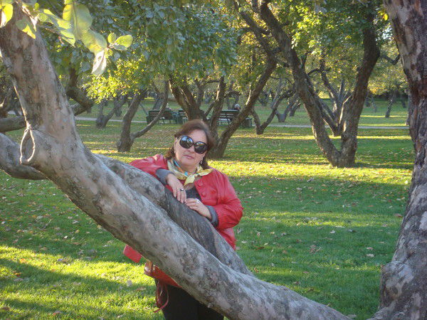 Елена Суровенкова