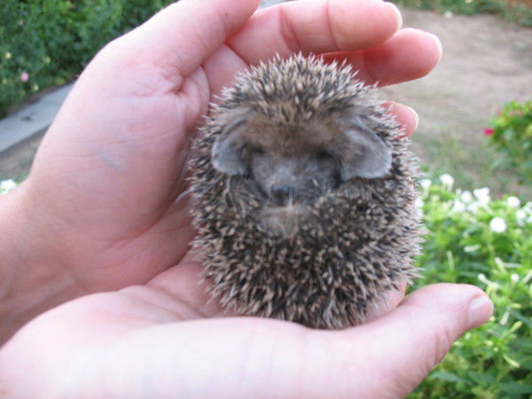 Гузель Исангулова