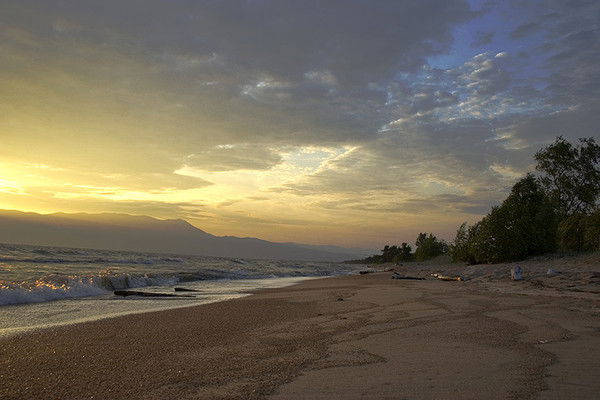 Неизвестно Неизвестно