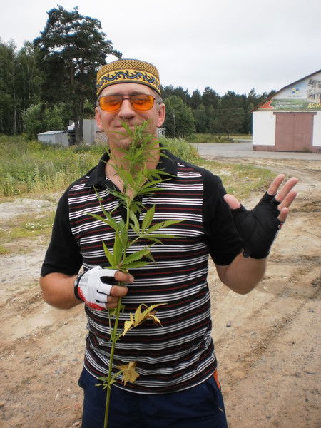 Евгений Шнипас