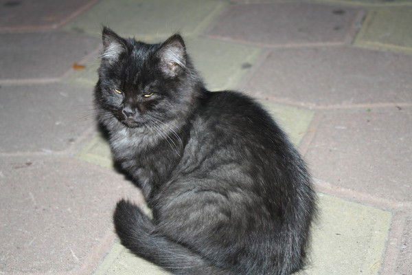 Иннач Неизвестно