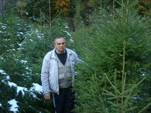 Анатолий Крицкий