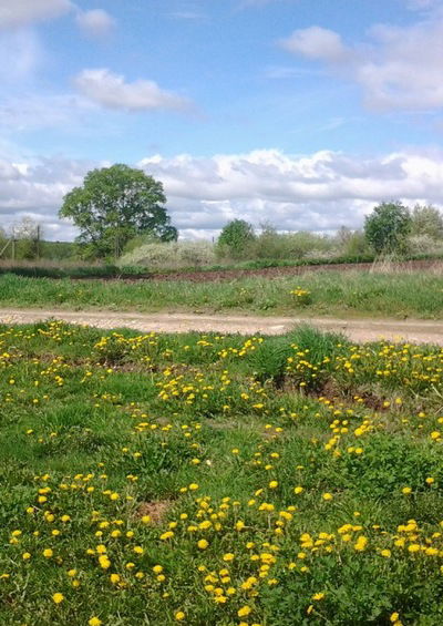 Наталья Кочеткова