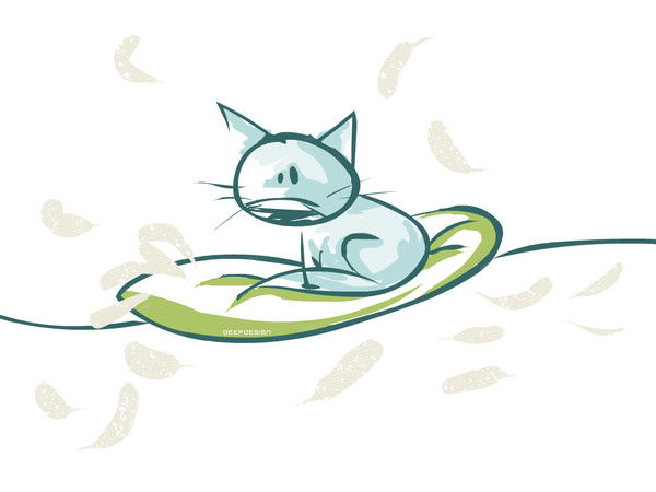 •°•lizka •°•