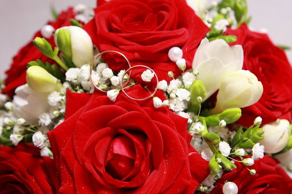 Марина Скуратович