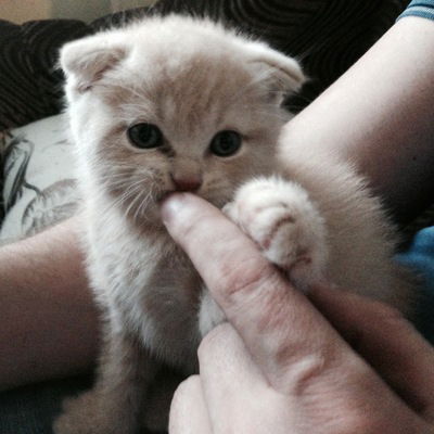 Ангелина Ивакина