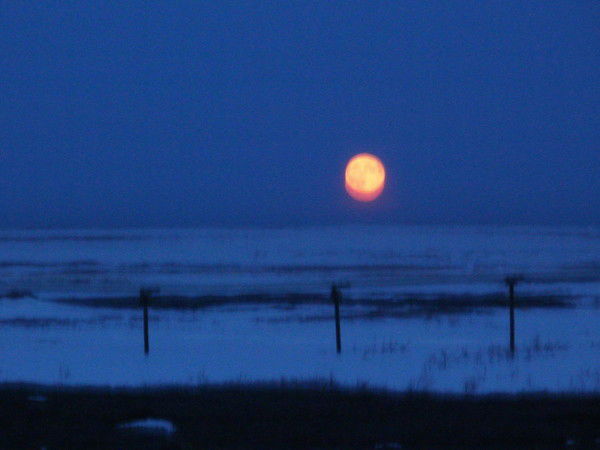 Юрий Конский