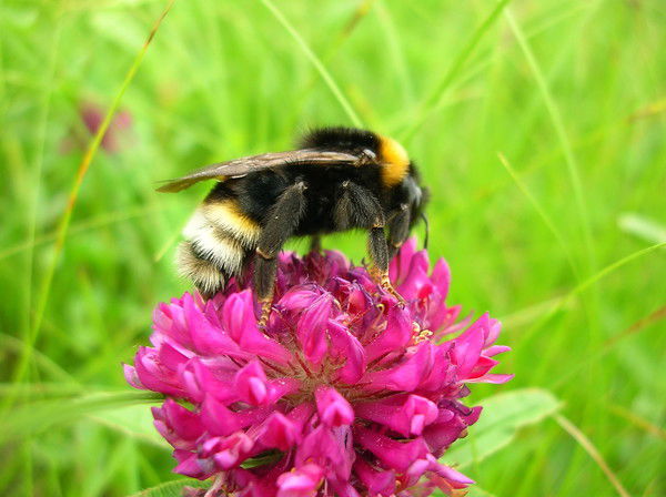 Татьяна Саликова