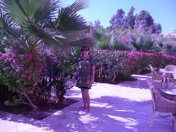 Елена Фентисова