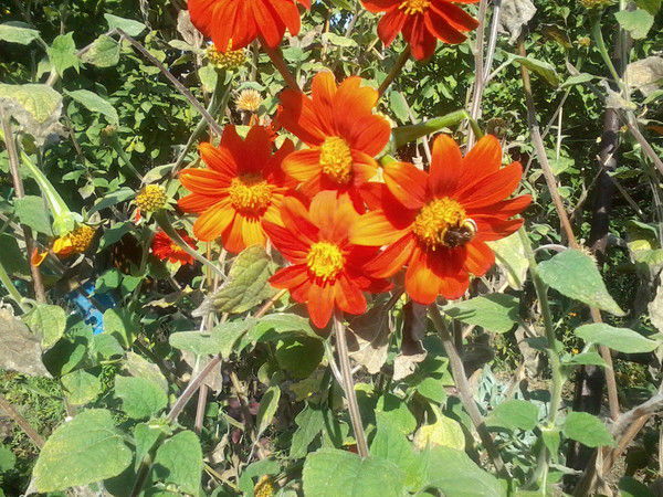 Татьяна Мельник