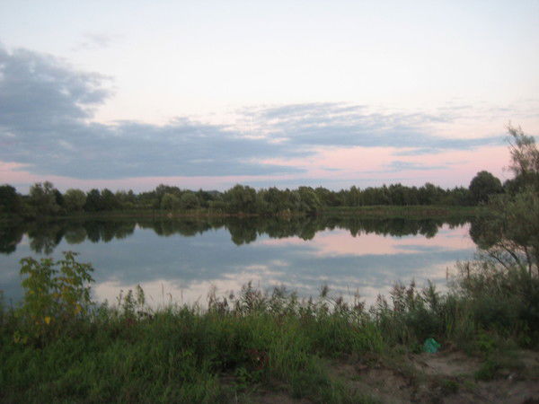 Алексей Наймушин