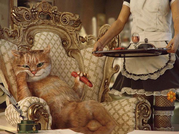 Константин Калинин