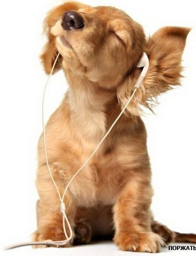 Артём Рассудов