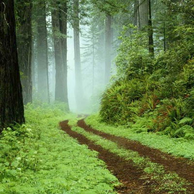 Геворг Пашян