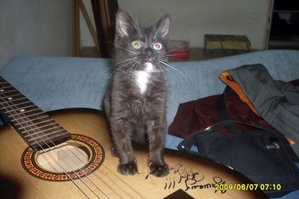 Дмитрий Владимирович