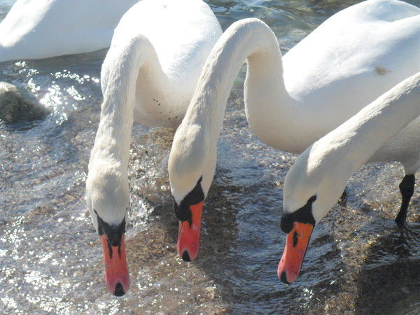 Маралбек Нурмаганбетов