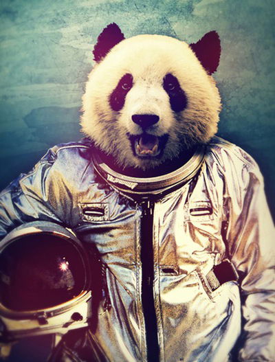 Влад Разгуляев