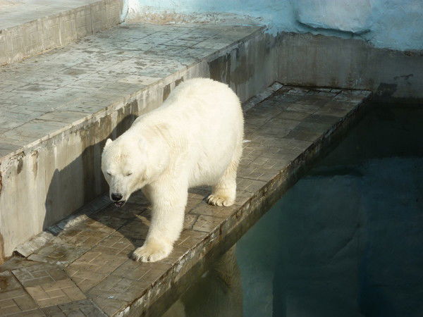 Тамара Гаврючкова
