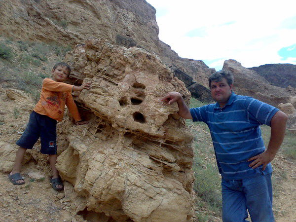 Дмитрий Смогарев